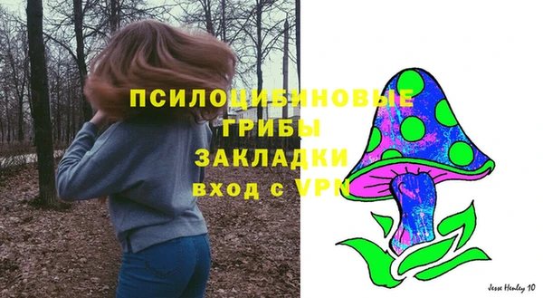 крисы Алексеевка