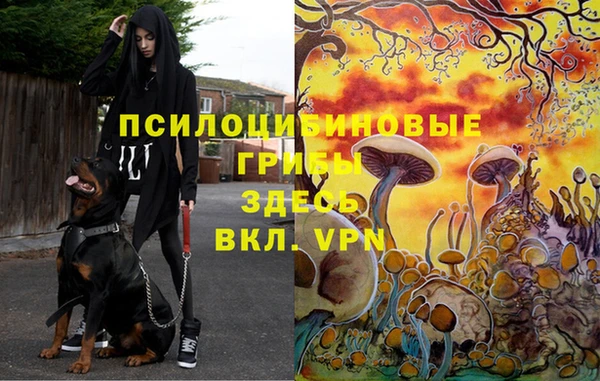 крисы Алексеевка