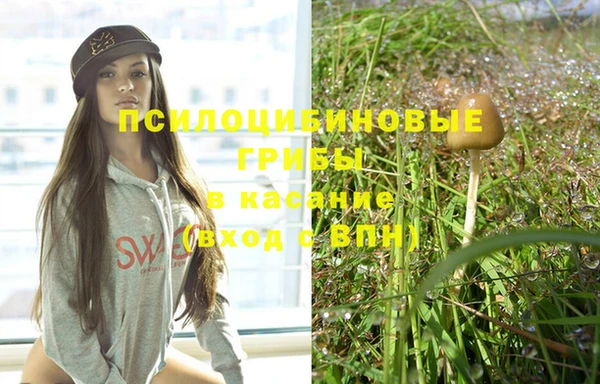 крисы Алексеевка