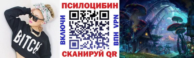 сколько стоит  Армянск  Галлюциногенные грибы Cubensis 